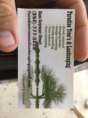 Paradise Trees And Landscaping Lake Panasoffkee Fl
